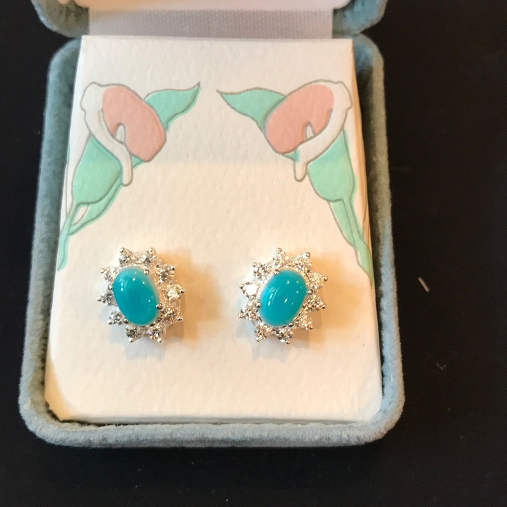 Fine Shell Earrings